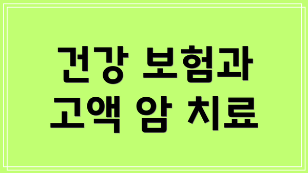 건강 보험과 고액 암 치료