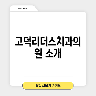 고덕리더스치과의원 소개