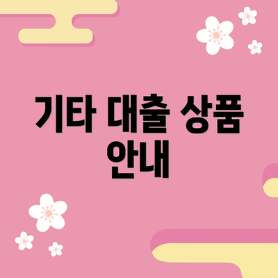 기타 대출 상품 안내