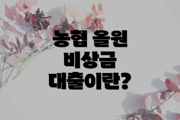 농협 올원 비상금 대출이란?