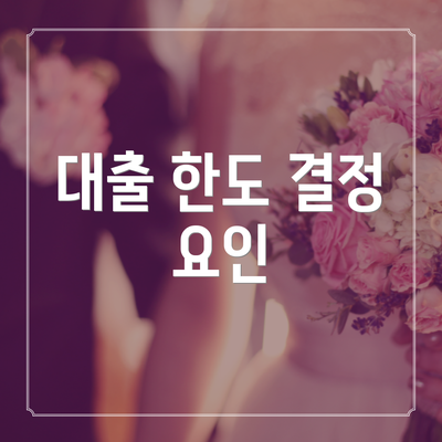 대출 한도 결정 요인