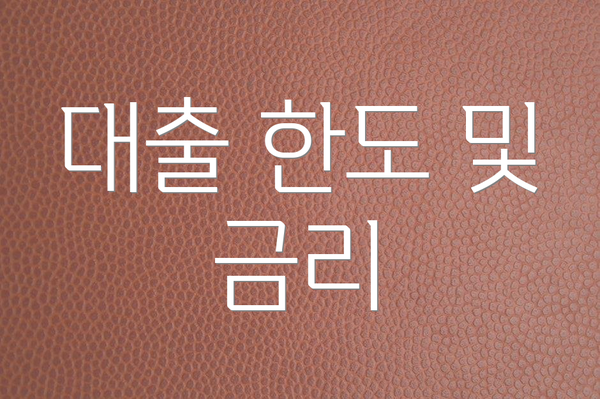 대출 한도 및 금리