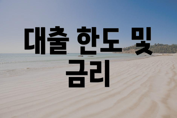 대출 한도 및 금리