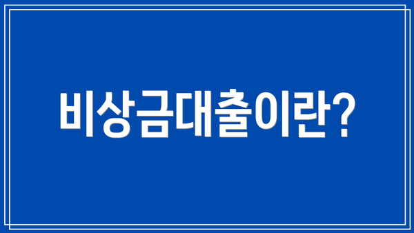 비상금대출이란?