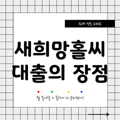 새희망홀씨 대출의 장점