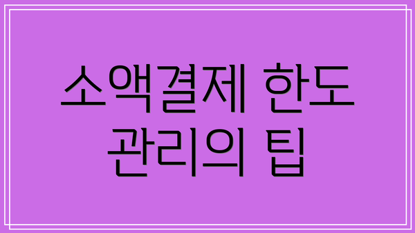 소액결제 한도 관리의 팁
