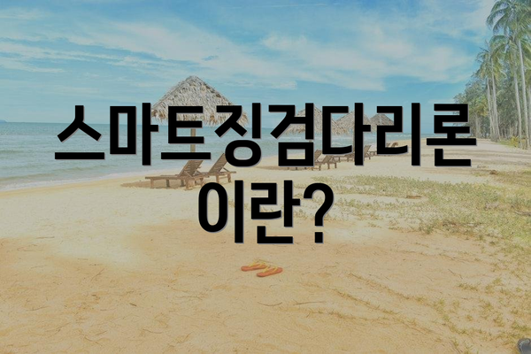 스마트징검다리론이란?