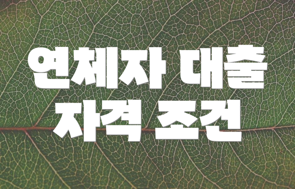 연체자 대출 자격 조건
