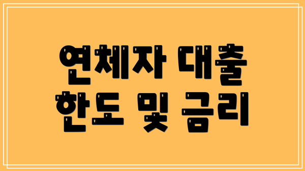 연체자 대출 한도 및 금리