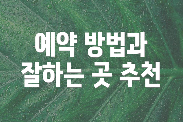 예약 방법과 잘하는 곳 추천