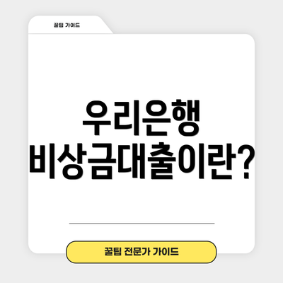 우리은행 비상금대출이란?