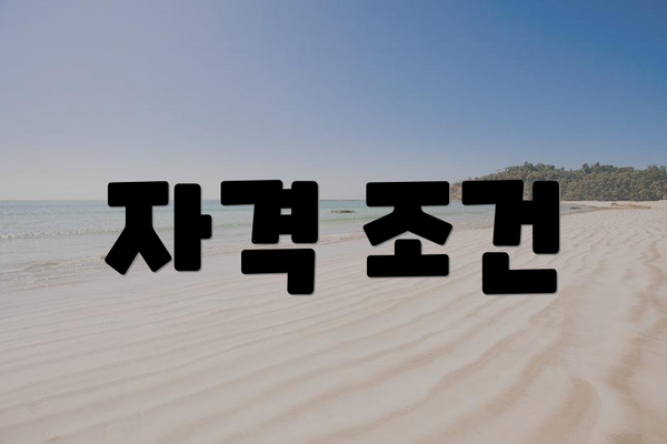 자격 조건