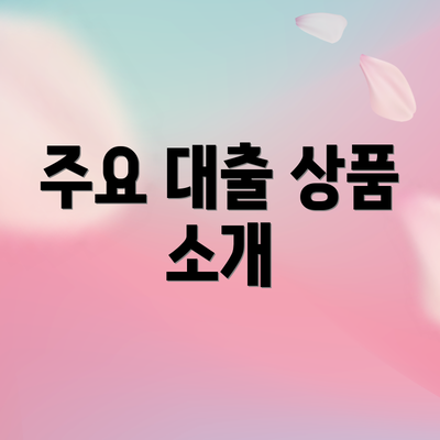 주요 대출 상품 소개