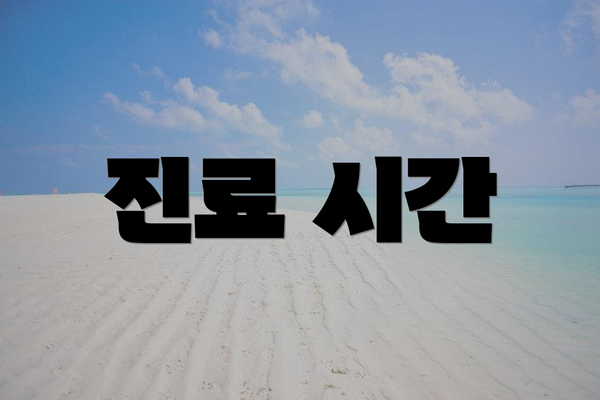 진료 시간
