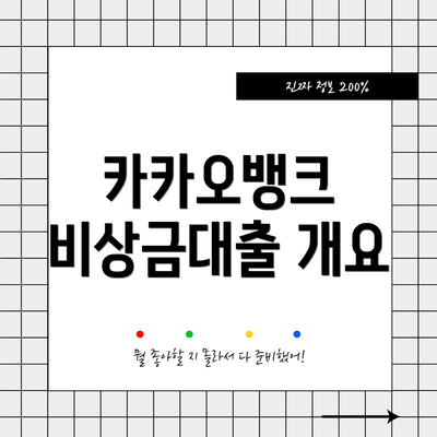 카카오뱅크 비상금대출 개요