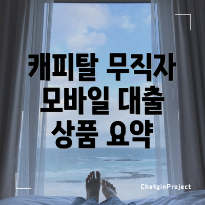 캐피탈 무직자 모바일 대출 상품 요약