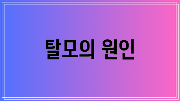 탈모의 원인