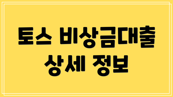 토스 비상금대출 상세 정보