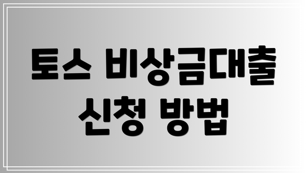토스 비상금대출 신청 방법