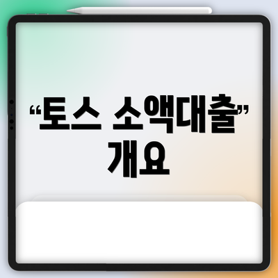 토스 소액대출 개요