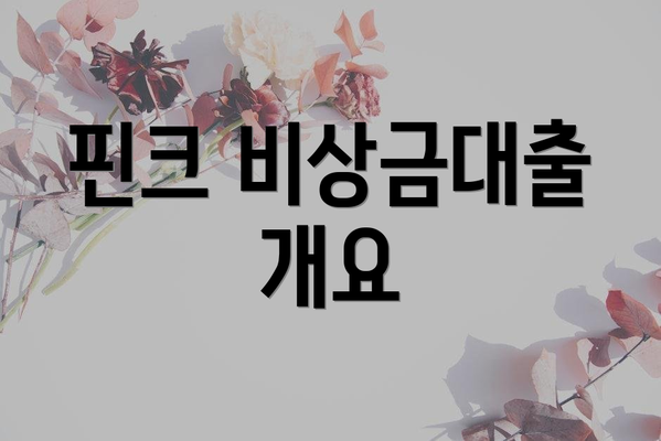 핀크 비상금대출 개요