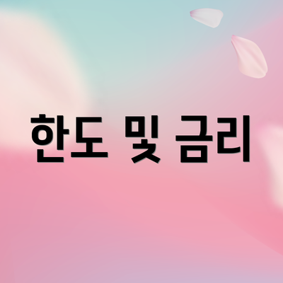 한도 및 금리