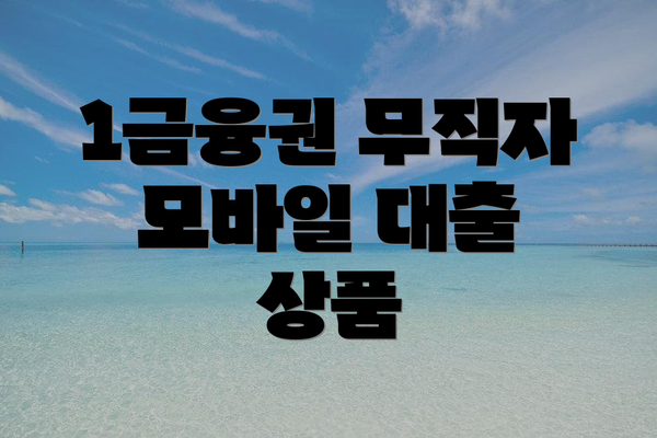 1금융권 무직자 모바일 대출 상품