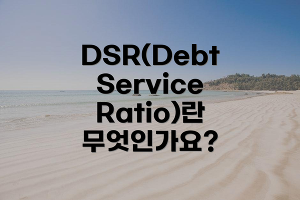 DSR(Debt Service Ratio)란 무엇인가요?