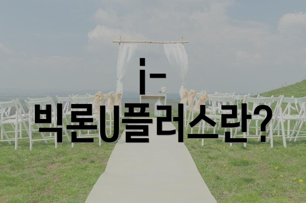 i-빅론U플러스란?