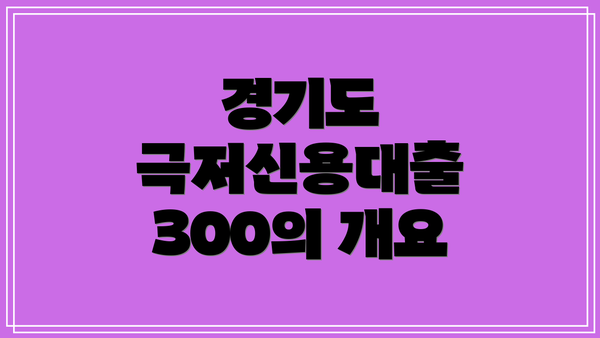 경기도 극저신용대출 300의 개요
