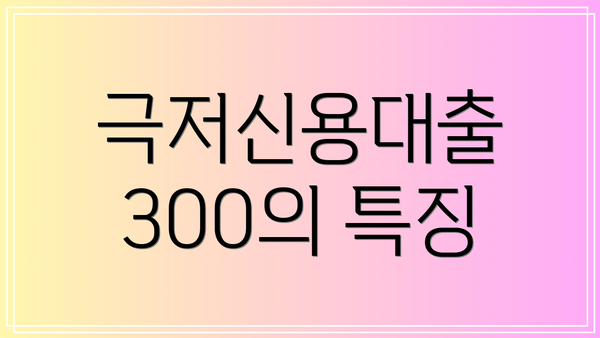 극저신용대출 300의 특징