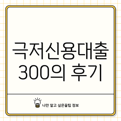 극저신용대출 300의 후기