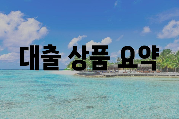 대출 상품 요약