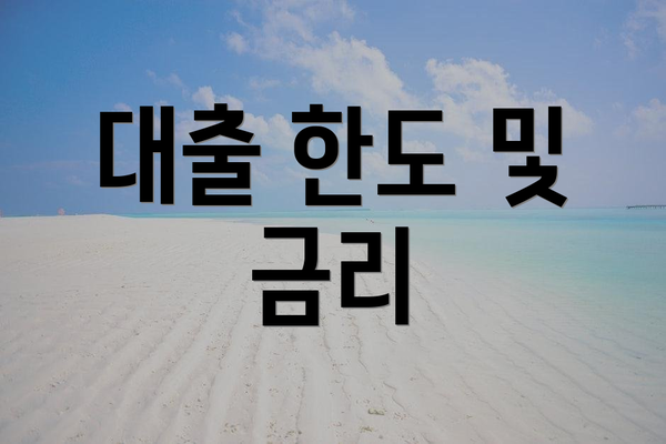 대출 한도 및 금리
