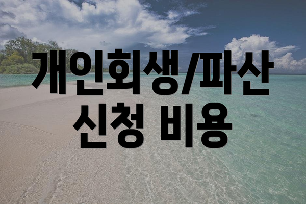 개인회생/파산 신청 비용