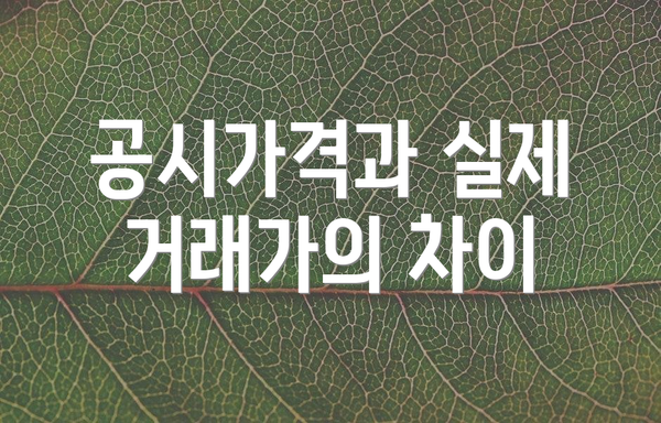 공시가격과 실제 거래가의 차이