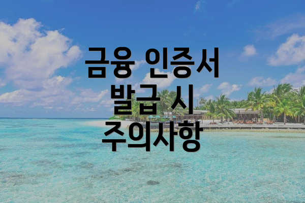 금융 인증서 발급 시 주의사항