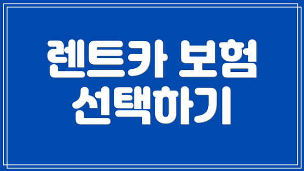 렌트카 보험 선택하기