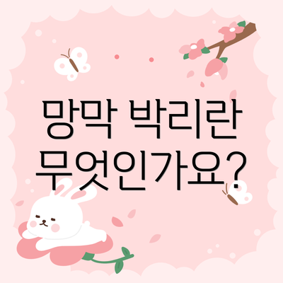 망막 박리란 무엇인가요?