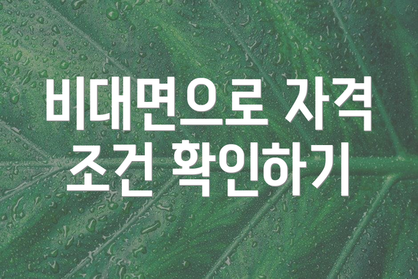 비대면으로 자격 조건 확인하기