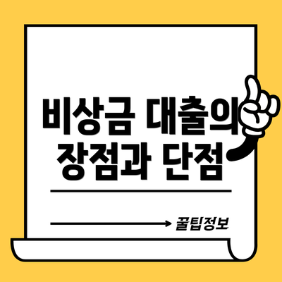 비상금 대출의 장점과 단점