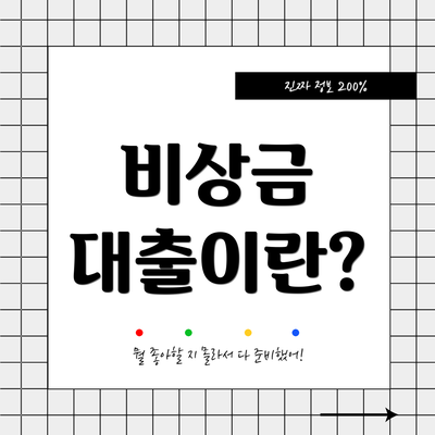 비상금 대출이란?