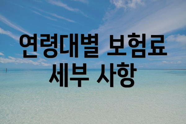 연령대별 보험료 세부 사항
