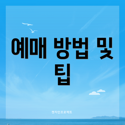 예매 방법 및 팁