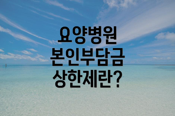 요양병원 본인부담금 상한제란?