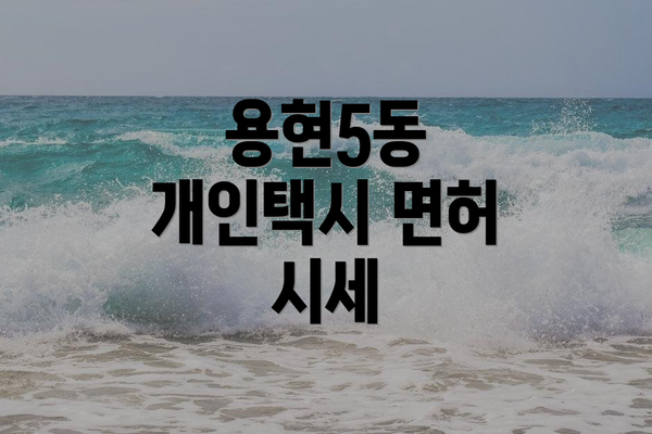 용현5동 개인택시 면허 시세