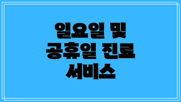 일요일 및 공휴일 진료 서비스