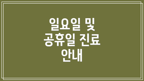 일요일 및 공휴일 진료 안내