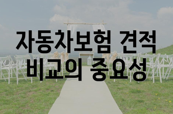 자동차보험 견적 비교의 중요성