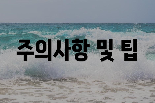 주의사항 및 팁
